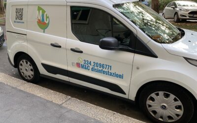 Disinfestazione cimici dei letti Robecco sul Naviglio