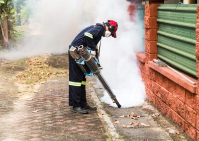 Disinfestazione Milano