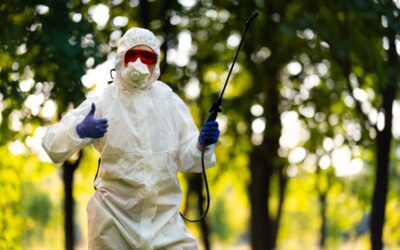 HACCP disinfestazione e derattizzazione, come funziona