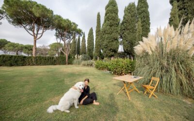 Proteggi il tuo cane con i trattamenti anti zanzare