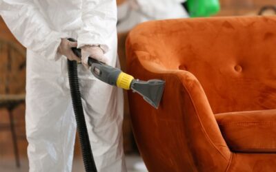 Prevenire danni a mobili, vestiti e alimenti con la disinfestazione tarli del legno